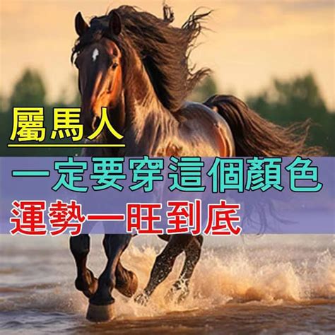 2014屬馬|2014風水流年之馬年生肖運程總頁, 馬年十二生肖運程,2014十二生。